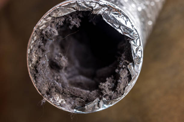 Best Best Air Duct Cleaning Company  in Miami Shores, FL